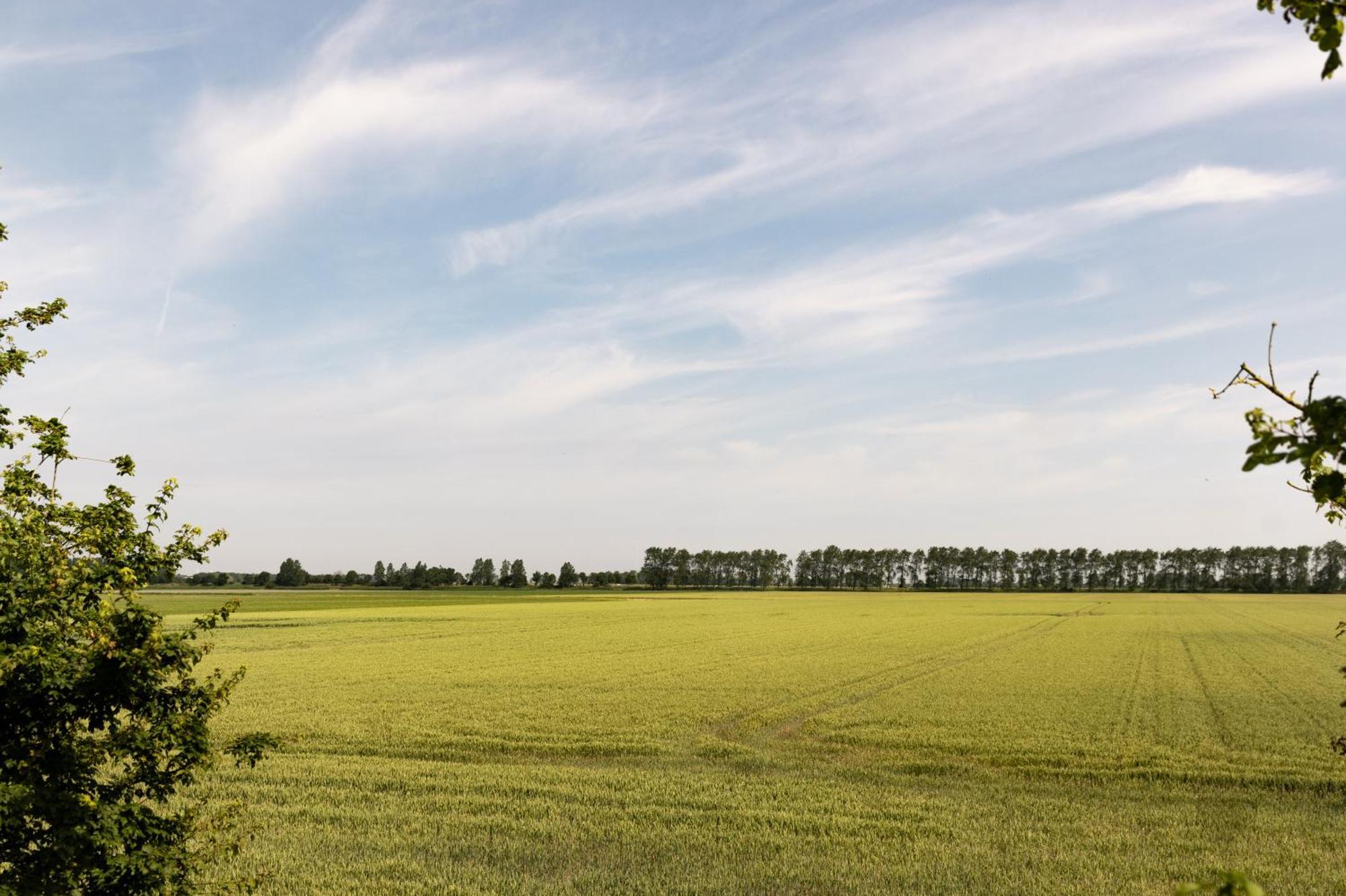 Hof Van Maldegem Kortgene Kültér fotó